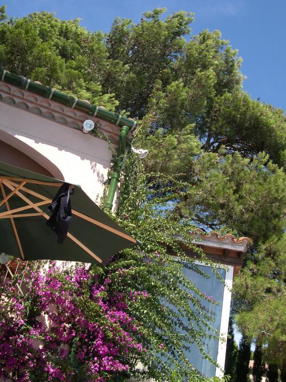 B&B Mas Du Soleilla Narbonne Bagian luar foto